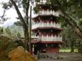 Pagoda through the trees